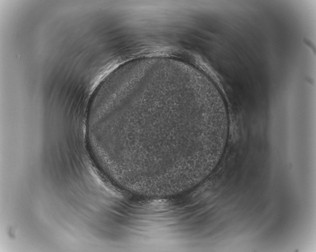 X0000102460059200808291551