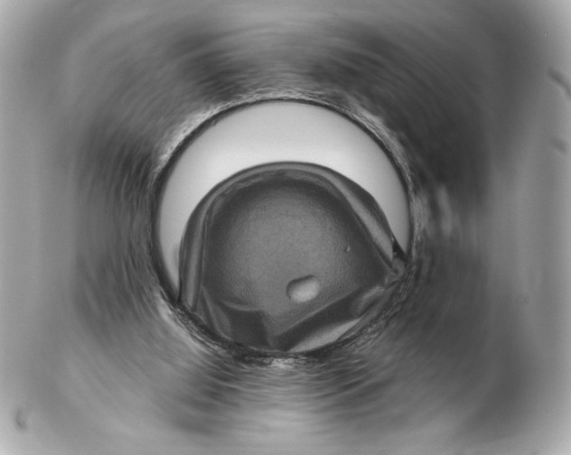 X0000102460060200808291551