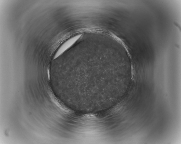 X0000102460061200808291551