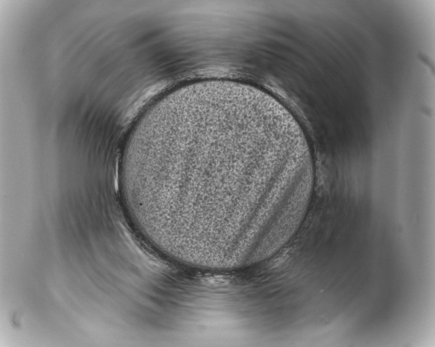 X0000102460062200808291551