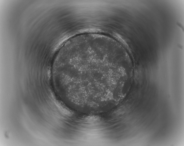 X0000102460063200808291551