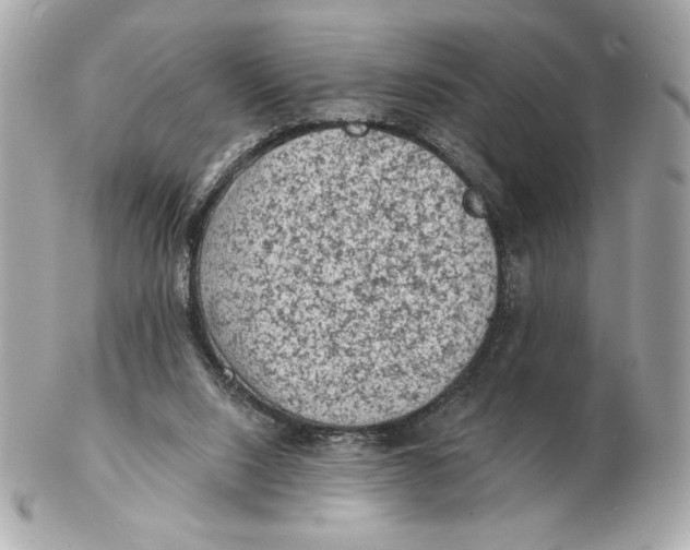 X0000102460064200808291551