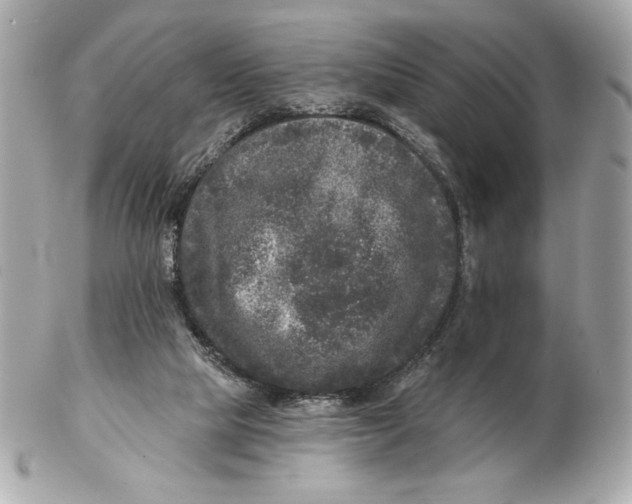 X0000102460065200808291551