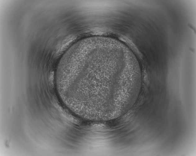 X0000102460066200808291551