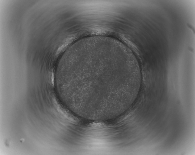 X0000102460067200808291551