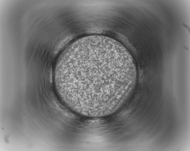 X0000102460068200808291551