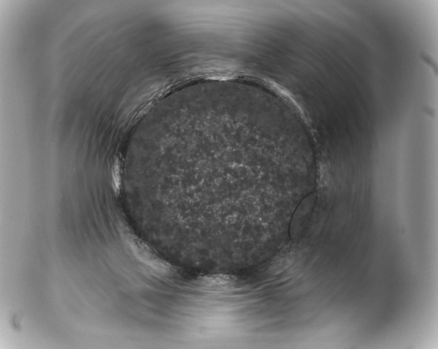 X0000102460069200808291551