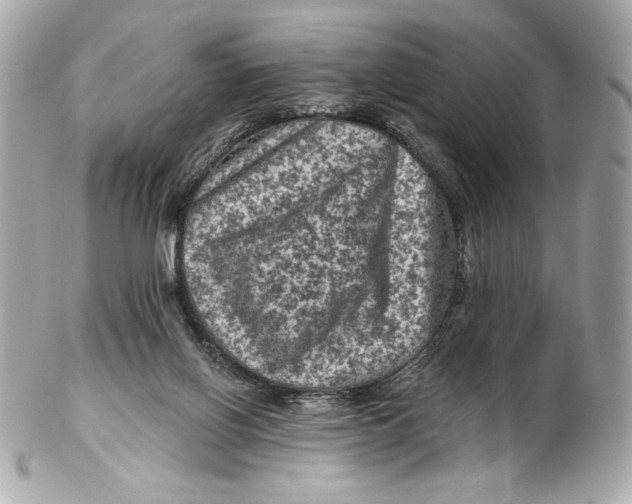 X0000102460070200808291551