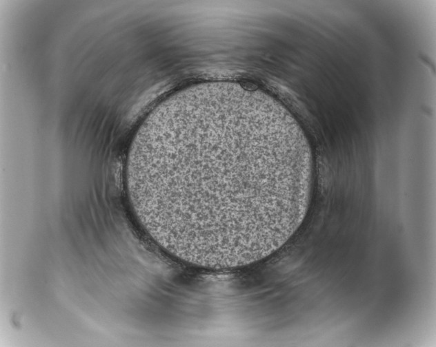 X0000102460071200808291551
