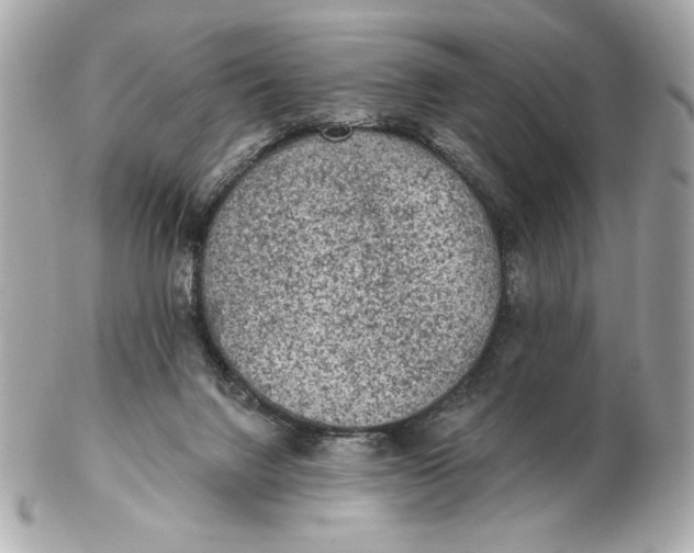 X0000102460072200808291551