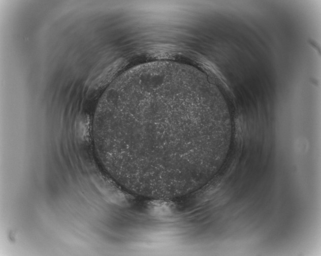X0000102460073200808291551