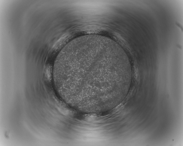 X0000102460074200808291551