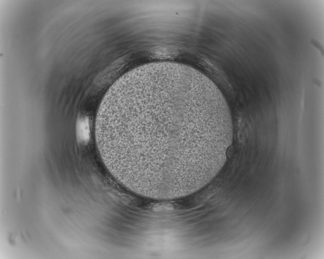 X0000102460075200808291551