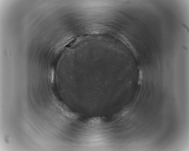 X0000102460076200808291551