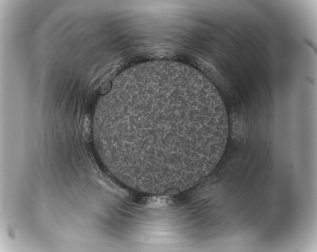 X0000102460077200808291551