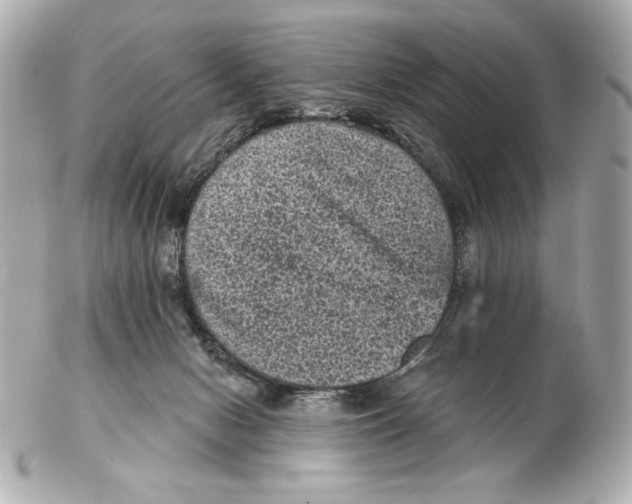 X0000102460078200808291551