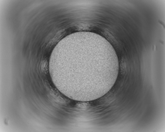 X0000102460079200808291551