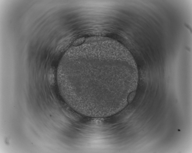 X0000102460080200808291551