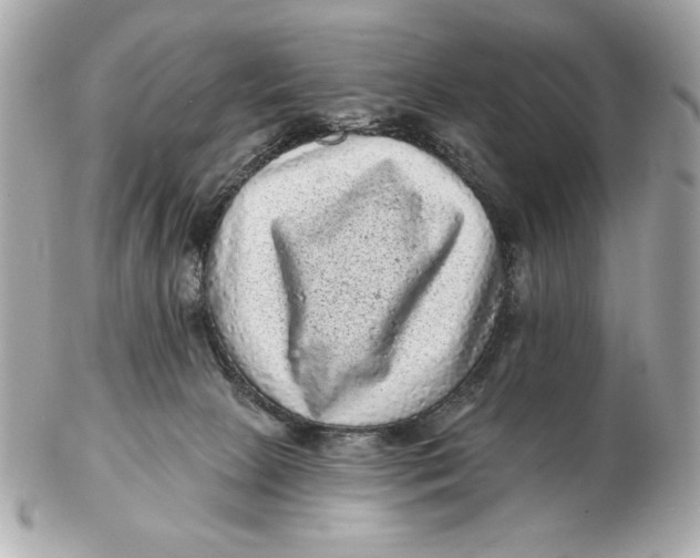 X0000102460081200808291551