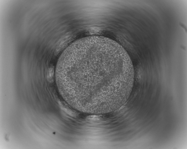 X0000102460082200808291551