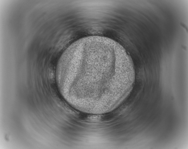 X0000102460084200808291551