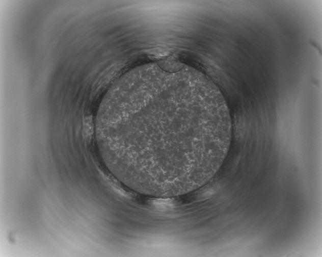 X0000102460085200808291551