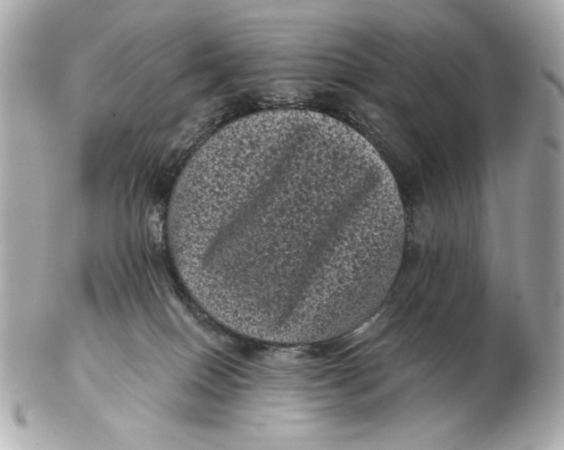 X0000102460086200808291551