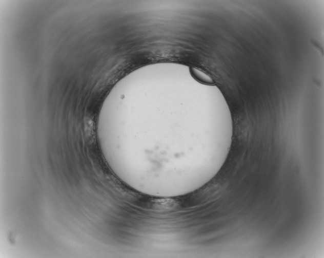 X0000102460087200808291551