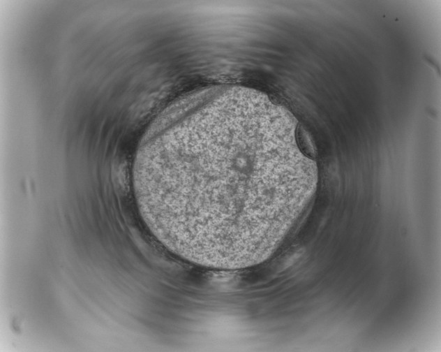 X0000102460088200808291551