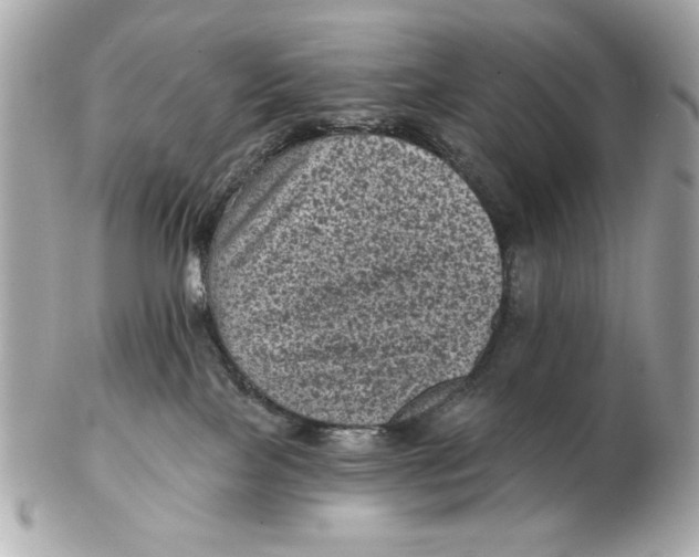 X0000102460089200808291551