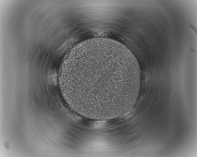 X0000102460090200808291551