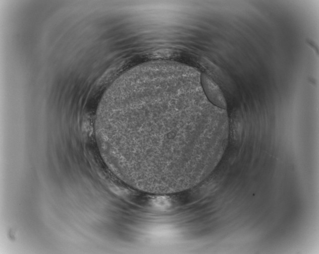 X0000102460091200808291551