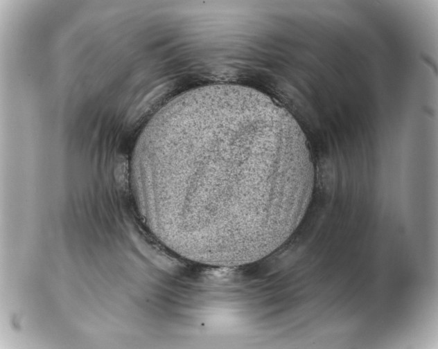 X0000102460092200808291551
