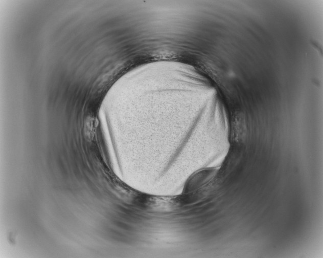 X0000102460093200808291551