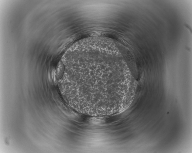X0000102460094200808291551