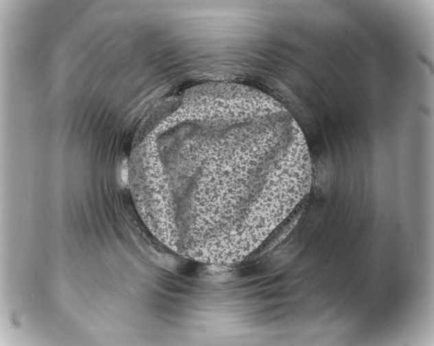 X0000102460095200808291551
