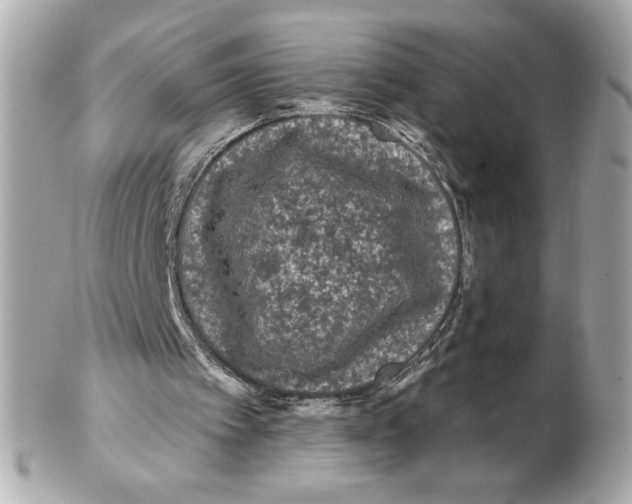X0000102460097200808291551