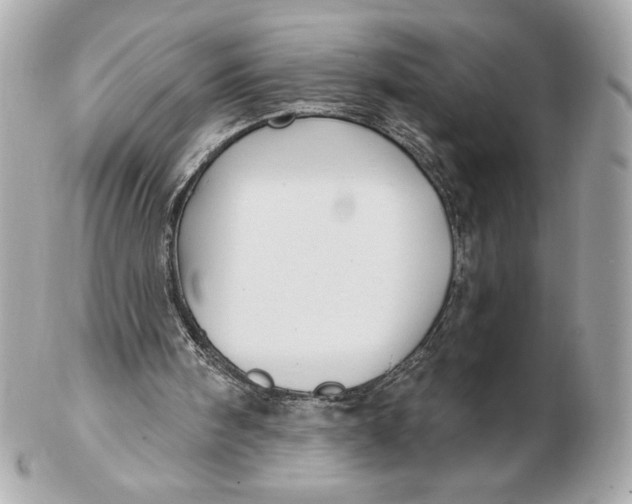 X0000102460098200808291551