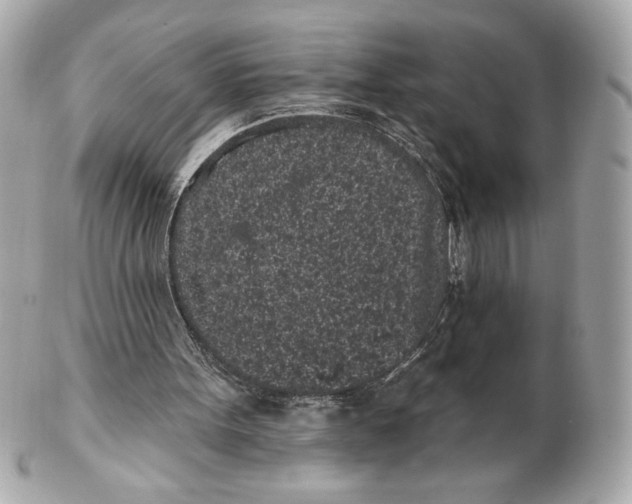 X0000102460099200808291551