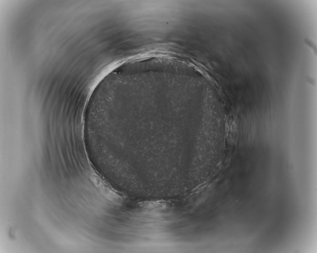 X0000102460100200808291551