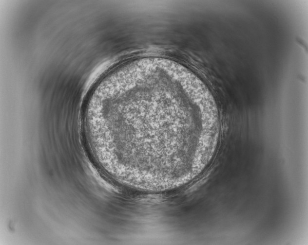X0000102460102200808291551
