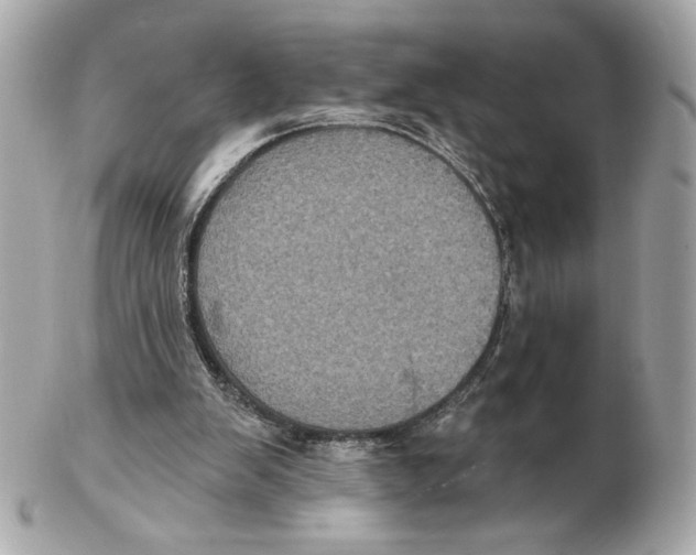 X0000102460103200808291551