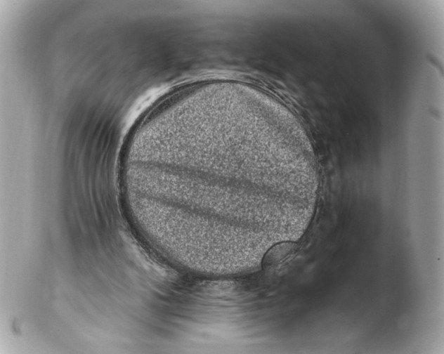 X0000102460104200808291551