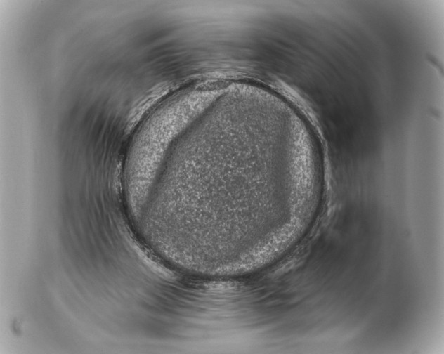X0000102460105200808291550