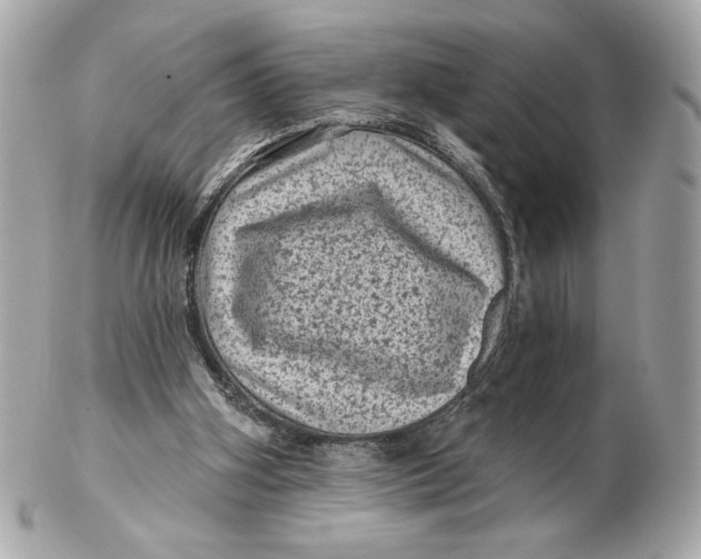 X0000102460106200808291550