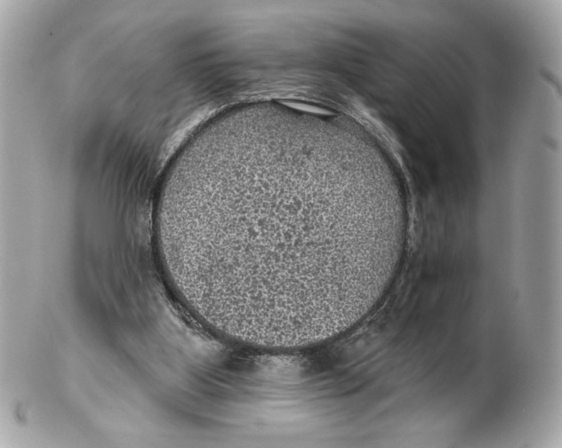 X0000102460107200808291550
