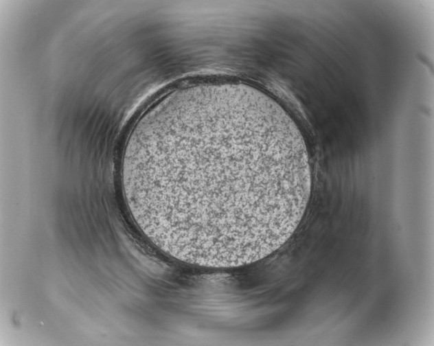 X0000102460108200808291550