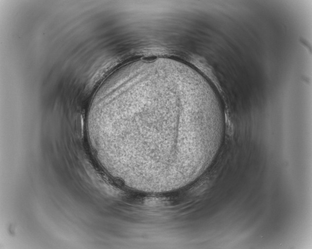 X0000102460109200808291550