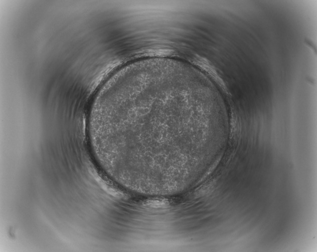 X0000102460110200808291550