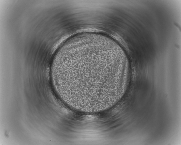 X0000102460111200808291550
